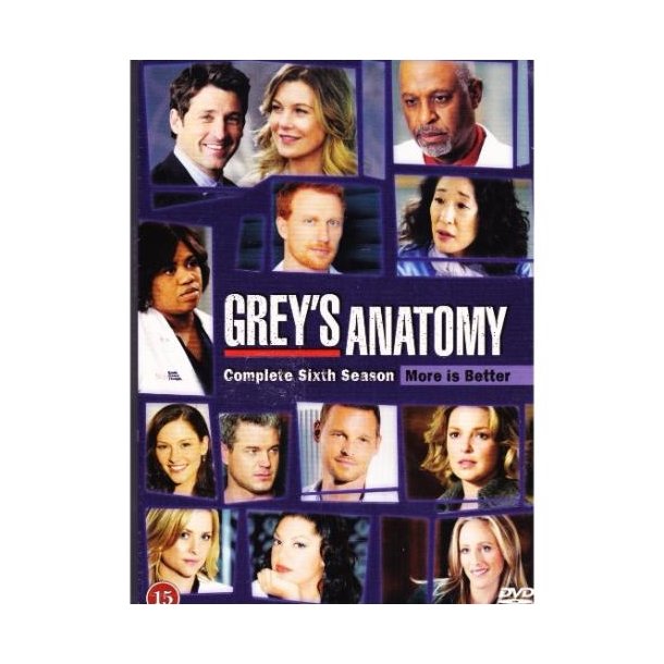 Greys hvide verden - S�son 6 (DVD)