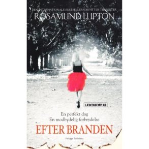 Efter branden (Bog)