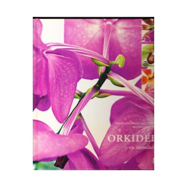 Orkideer - En introduktion (Bog)
