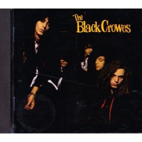 Shake your money maker (CD)