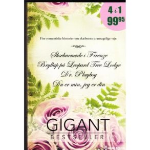 Gigant - 4 i 1 - Sk�bnem�de i Firenze