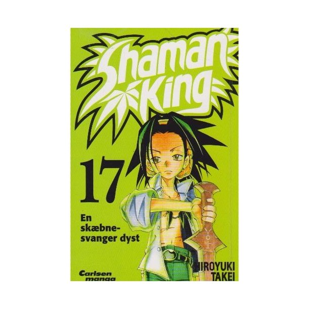Shaman king 17 (Bog)