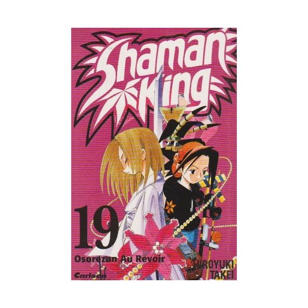 Shaman king 19 (Bog)